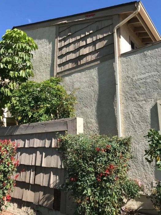 Stucco building with wooden shingles, bright sunlight casting shadows. Green bushes and a small tree alongside the wall add natural elements.